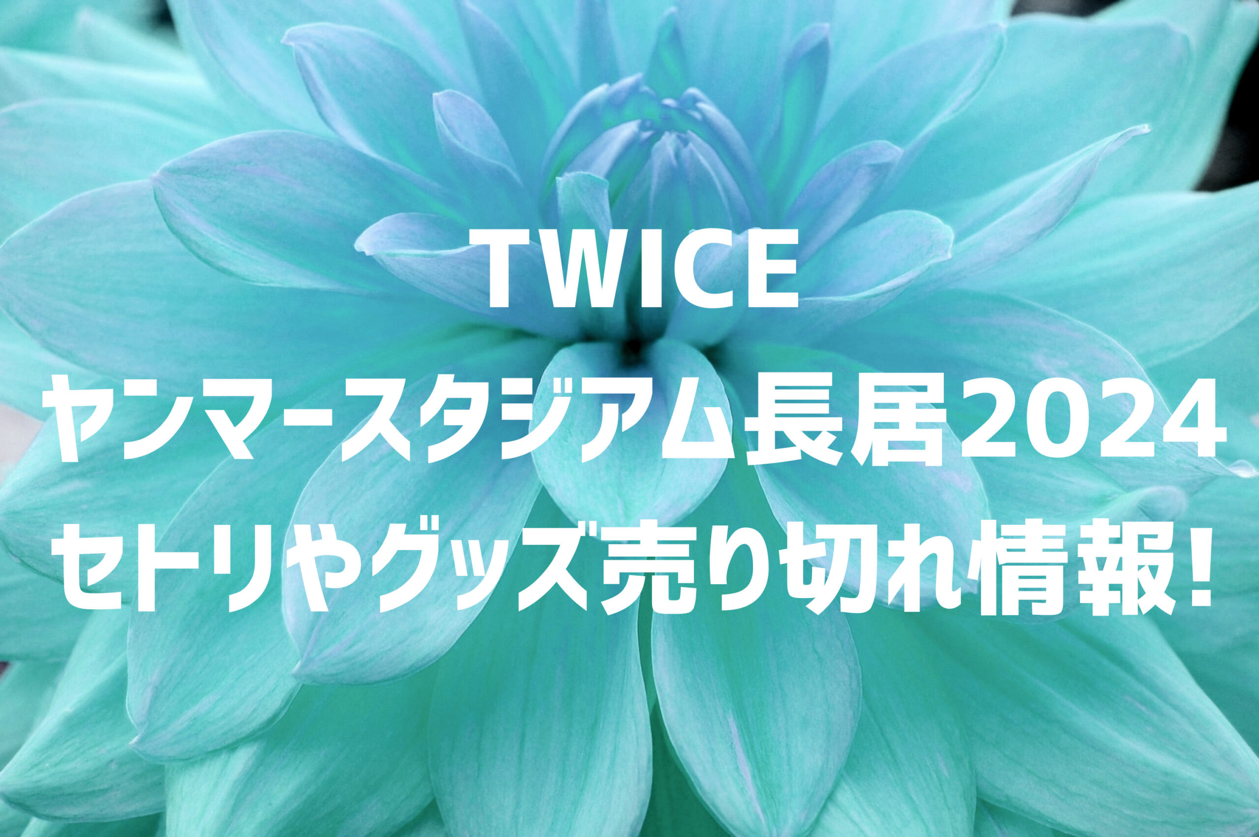 WICEヤンマースタジアム長居2024セトリやグッズ売り切れ情報!